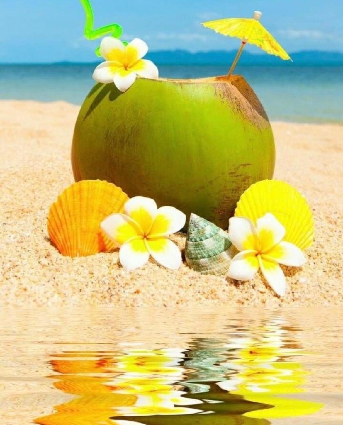Coconuts Paradise Piscine Golf Avec Vue Panoramique Saint-Francois  Exterior foto