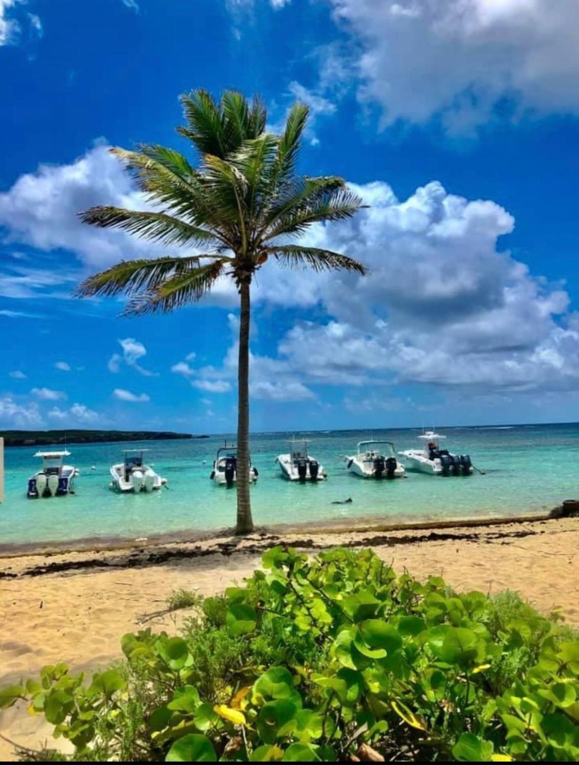 Coconuts Paradise Piscine Golf Avec Vue Panoramique Saint-Francois  Exterior foto