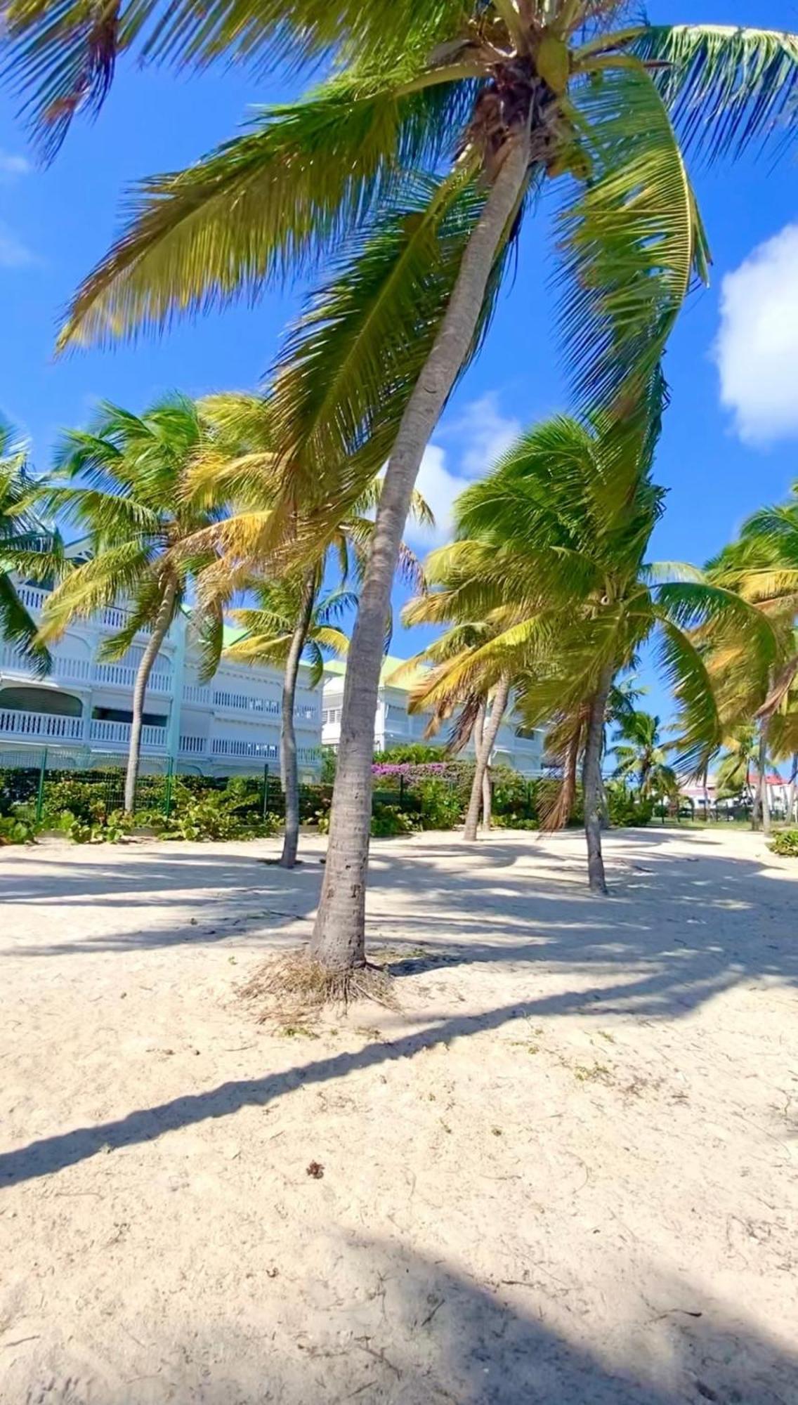 Coconuts Paradise Piscine Golf Avec Vue Panoramique Saint-Francois  Exterior foto